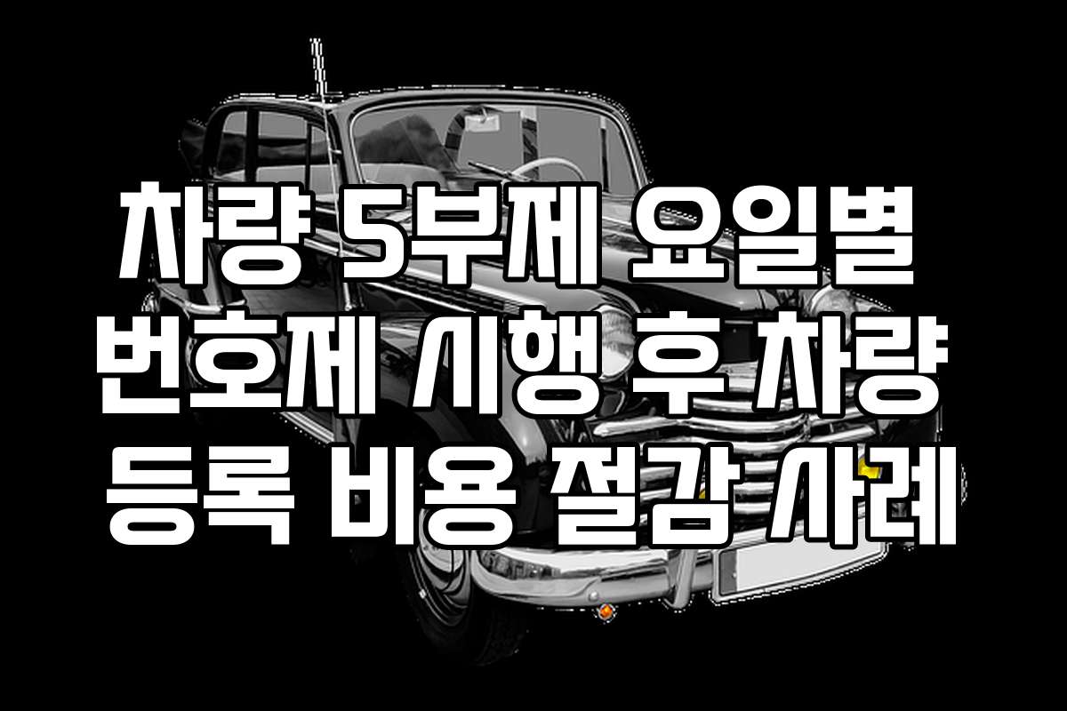 차량 5부제 요일별 번호제 시행 후 차량 등록 비용 절감 사례
