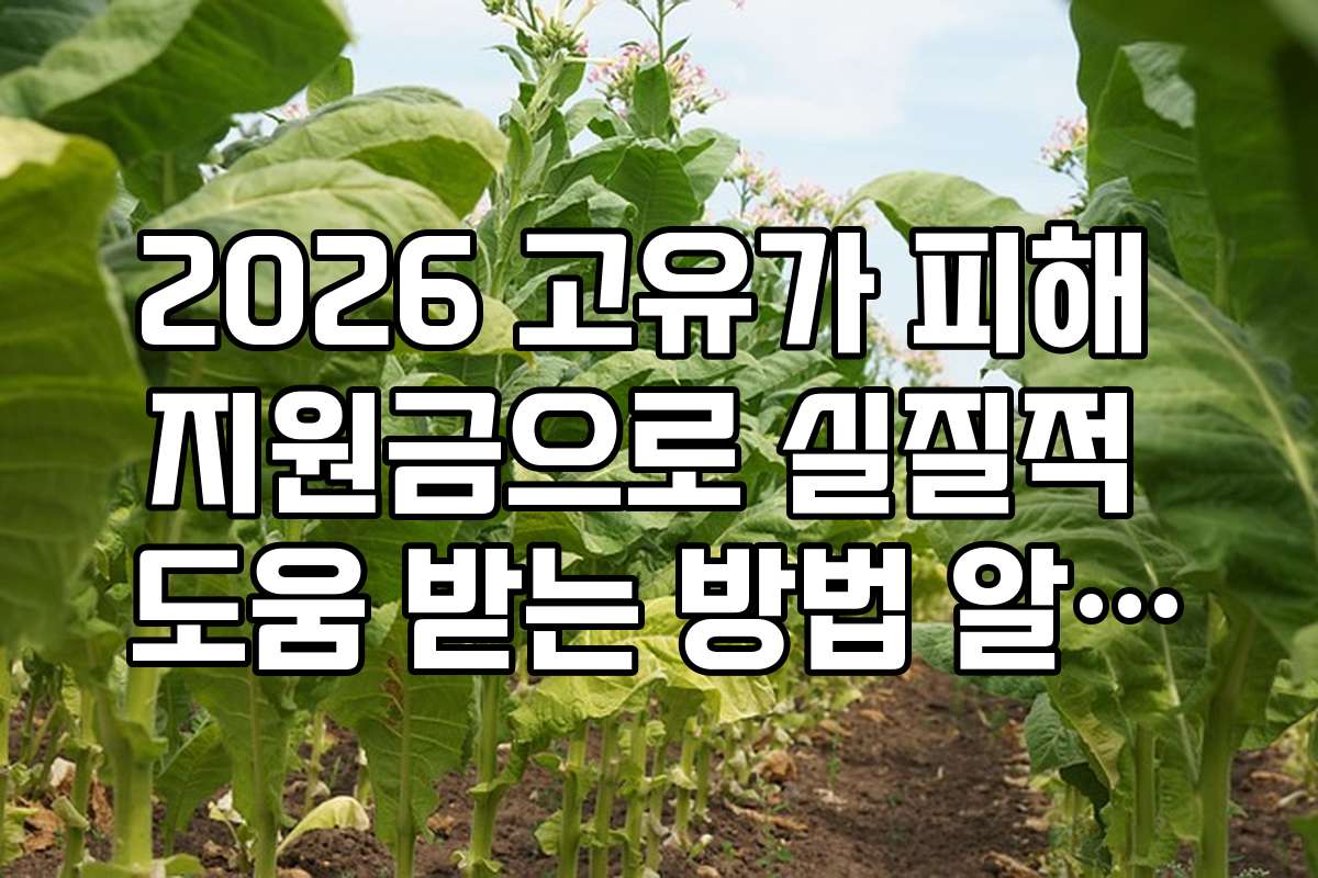 2026 고유가 피해 지원금으로 실질적 도움 받는 방법 알아보기