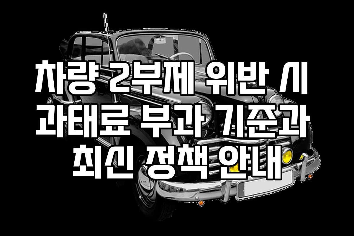 차량 2부제 위반 시 과태료 부과 기준과 최신 정책 안내