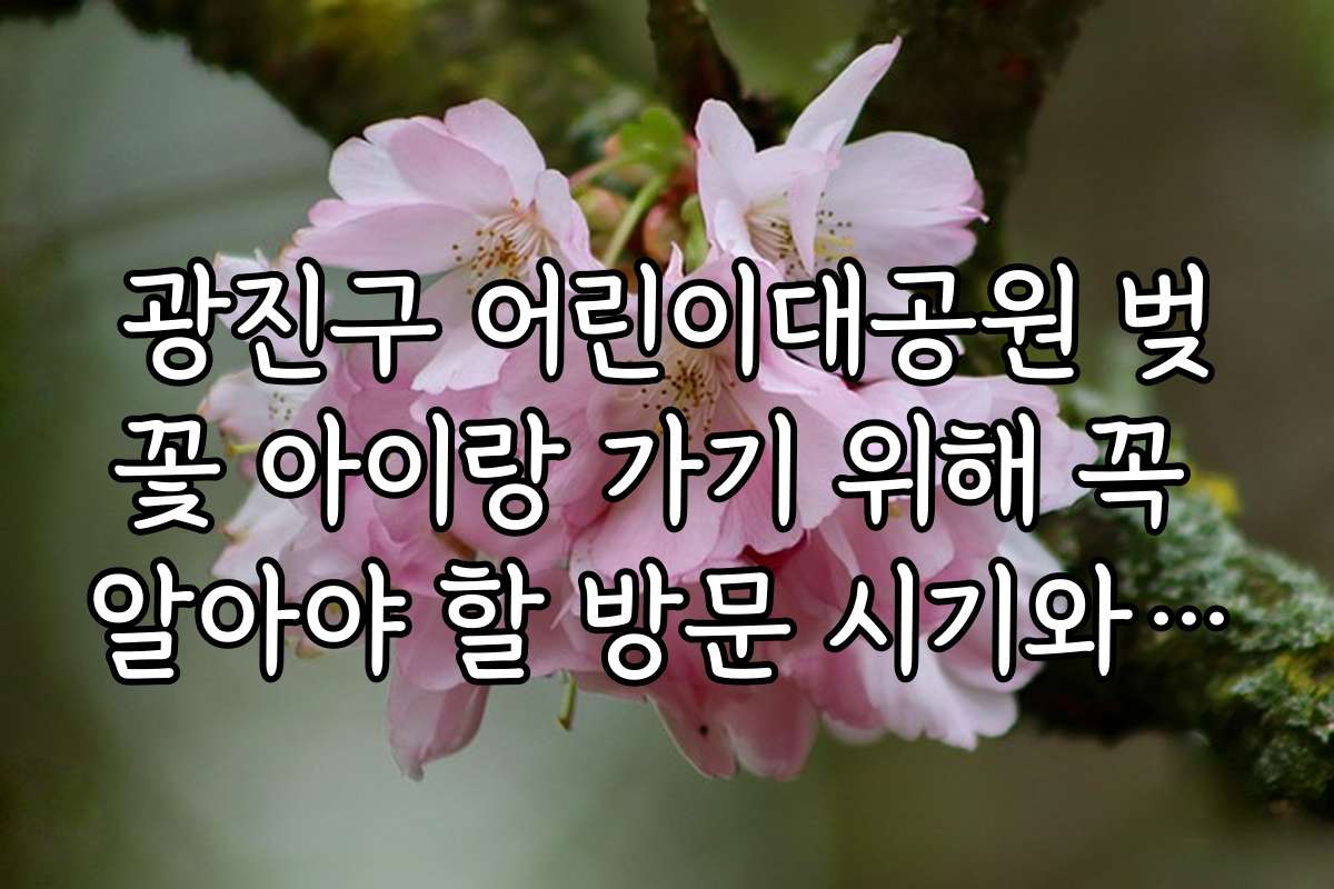 광진구 어린이대공원 벚꽃 아이랑 가기 위해 꼭 알아야 할 방문 시기와 준비물