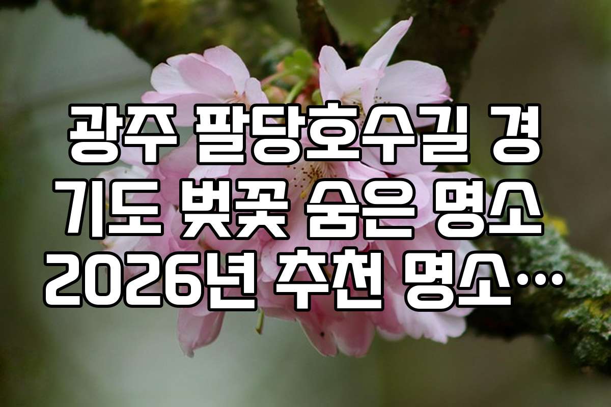 광주 팔당호수길 경기도 벚꽃 숨은 명소 2026년 추천 명소 정리