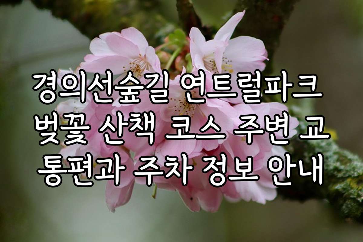 경의선숲길 연트럴파크 벚꽃 산책 코스 주변 교통편과 주차 정보 안내