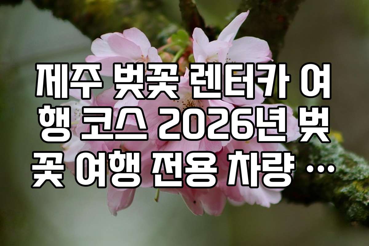 제주 벚꽃 렌터카 여행 코스 2026년 벚꽃 여행 전용 차량 보험 가입 가이드
