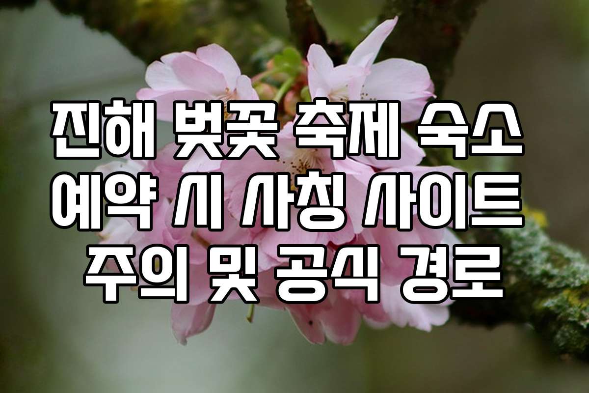 진해 벚꽃 축제 숙소 예약 시 사칭 사이트 주의 및 공식 경로