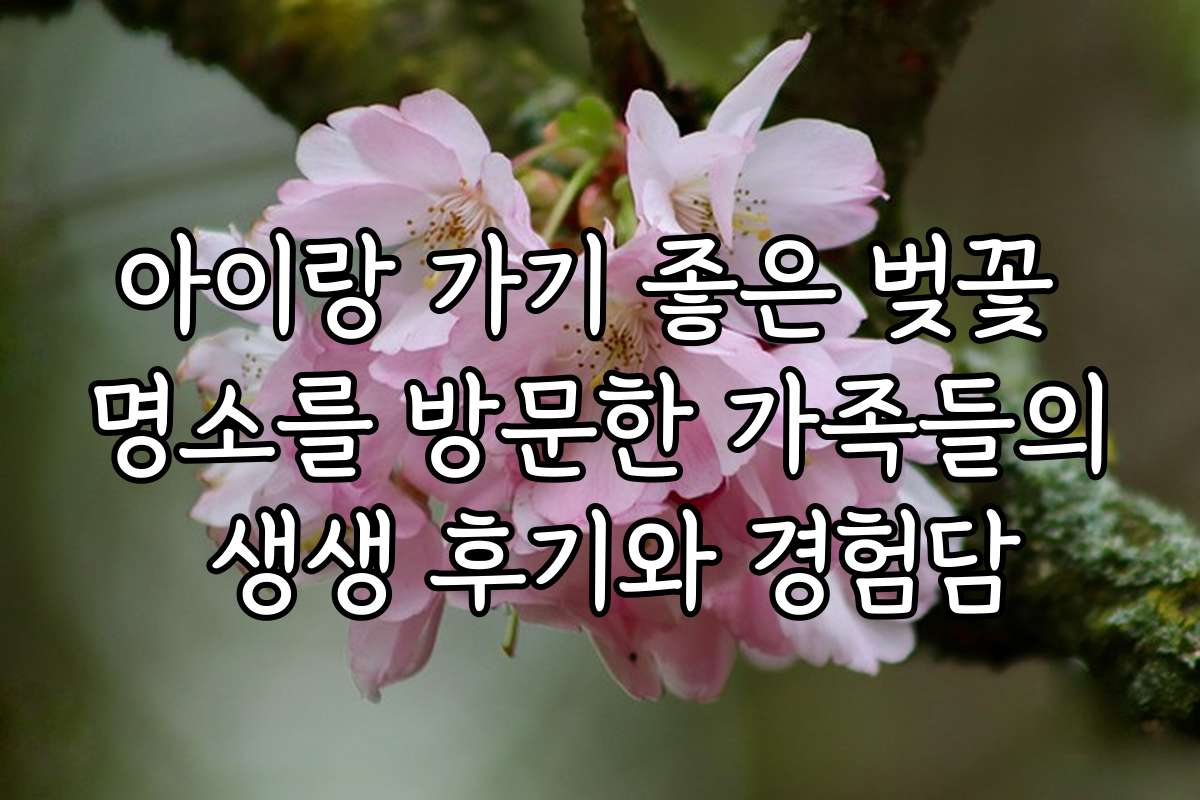 아이랑 가기 좋은 벚꽃 명소를 방문한 가족들의 생생 후기와 경험담