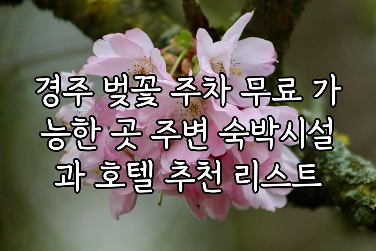 경주 벚꽃 주차 무료 가능한 곳 주변 숙박시설과 호텔 추천 리스트