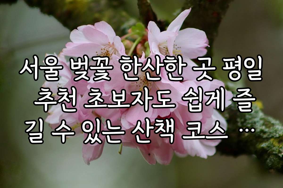 서울 벚꽃 한산한 곳 평일 추천 초보자도 쉽게 즐길 수 있는 산책 코스 추천