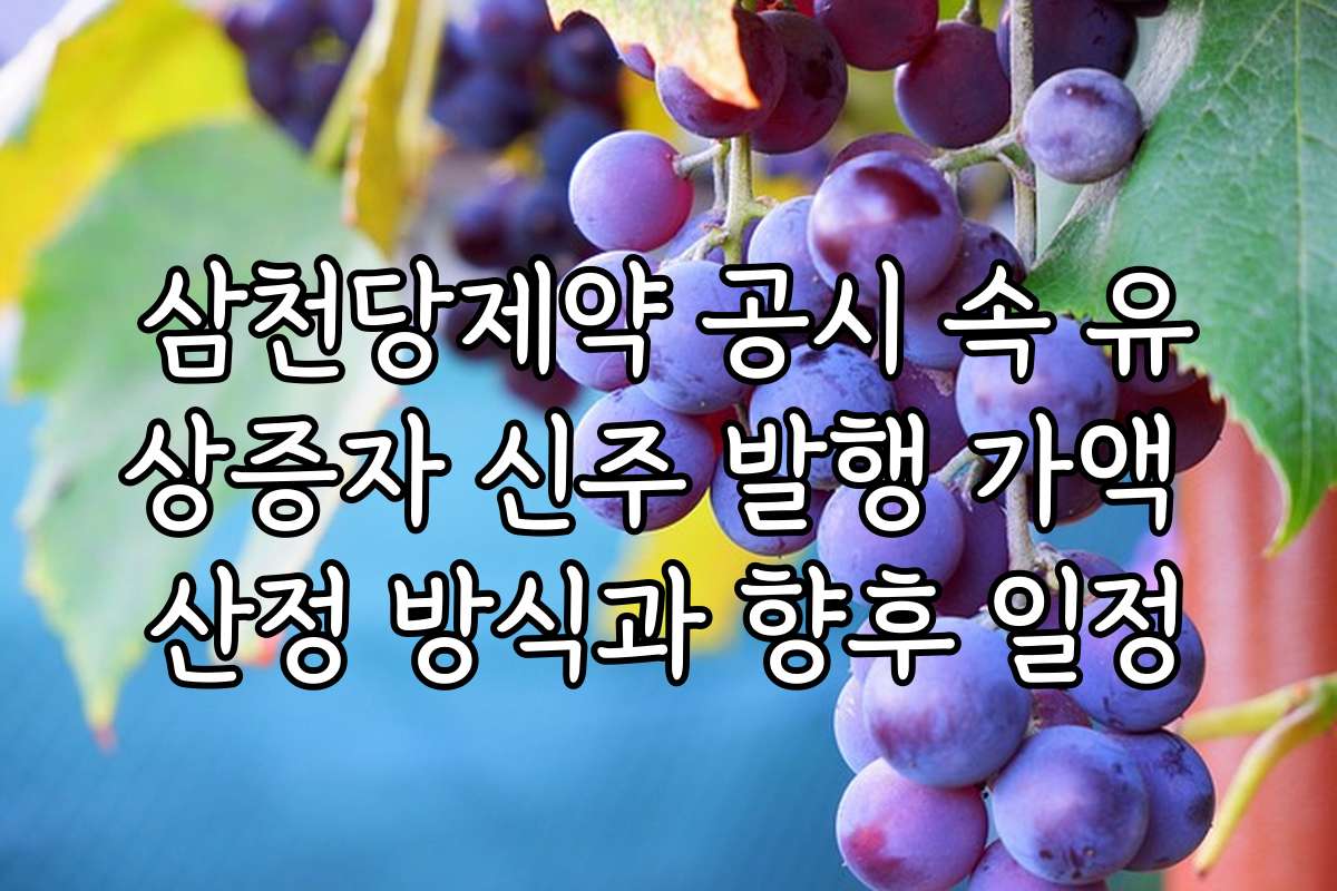 삼천당제약 공시 속 유상증자 신주 발행 가액 산정 방식과 향후 일정