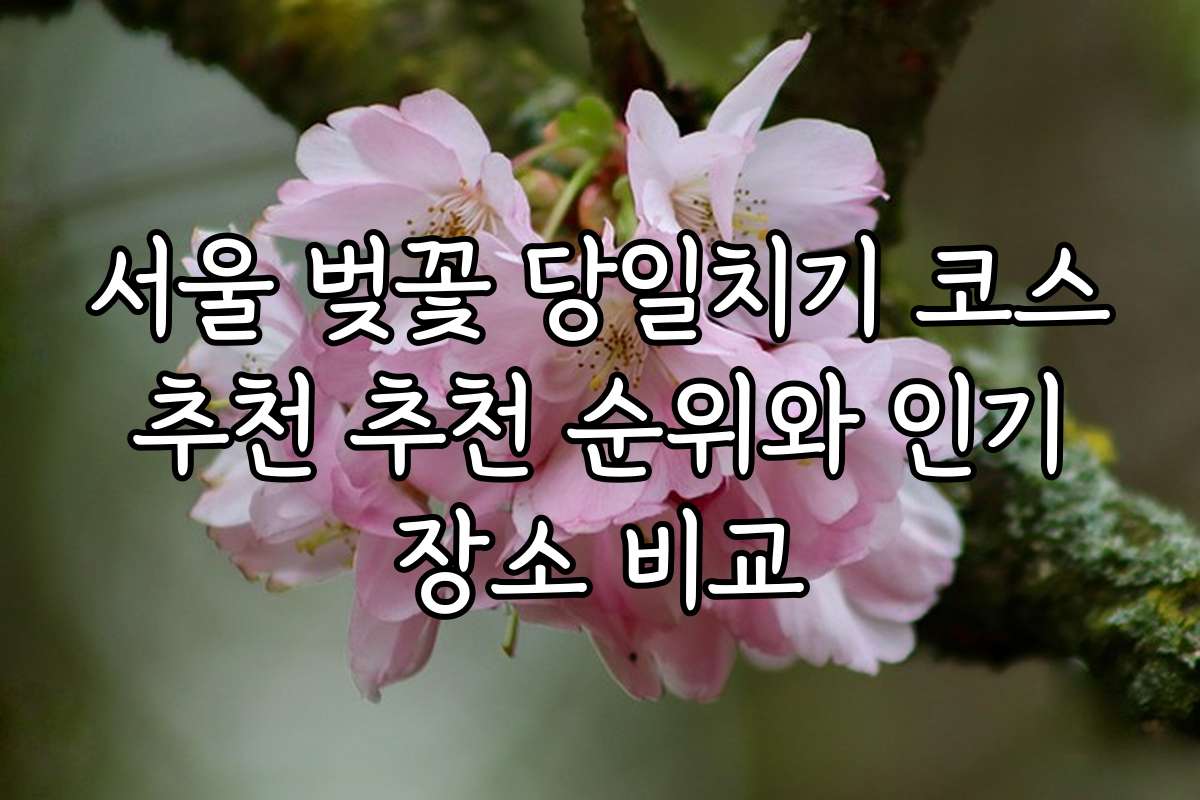 서울 벚꽃 당일치기 코스 추천 추천 순위와 인기 장소 비교