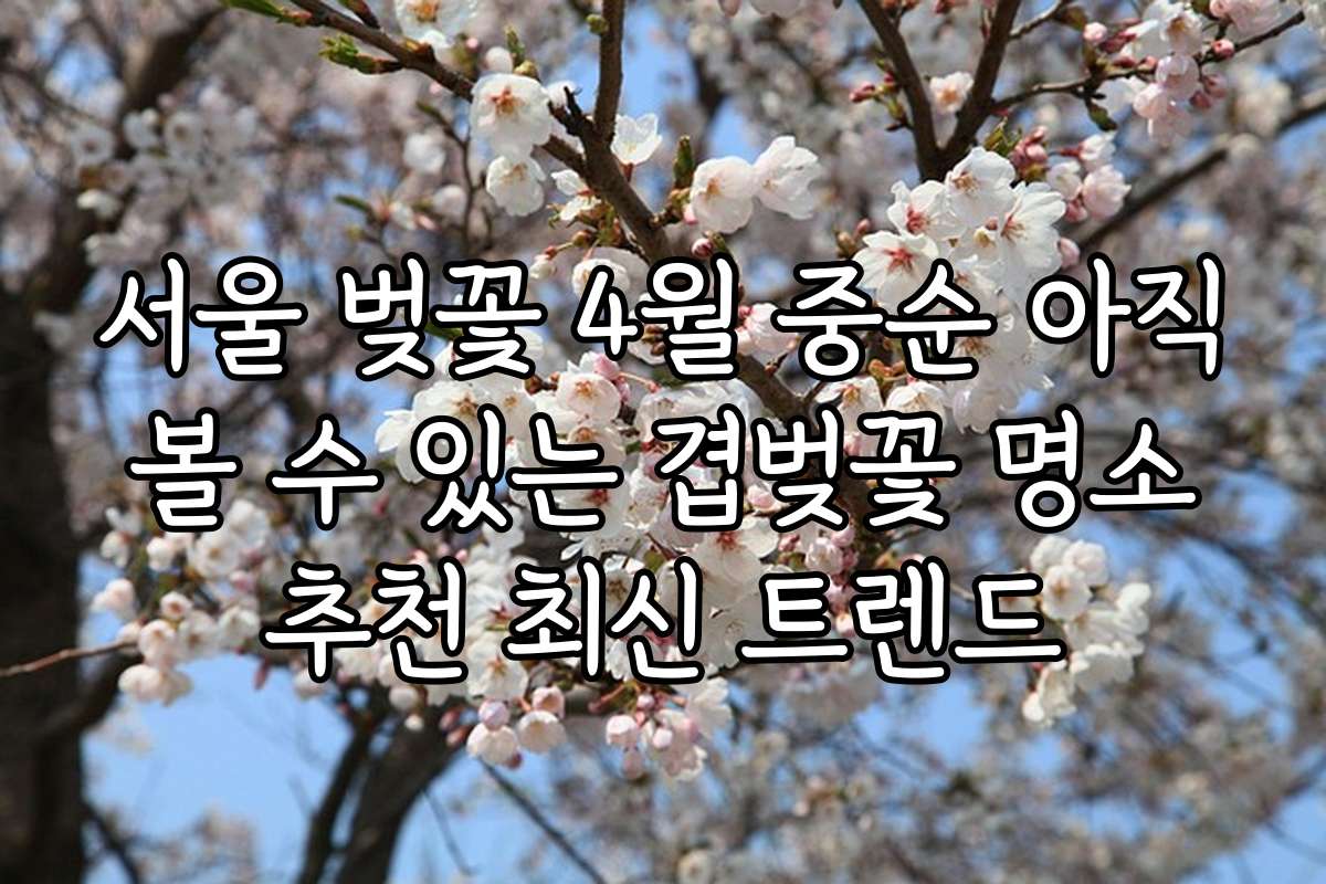 서울 벚꽃 4월 중순 아직 볼 수 있는 겹벚꽃 명소 추천 최신 트렌드