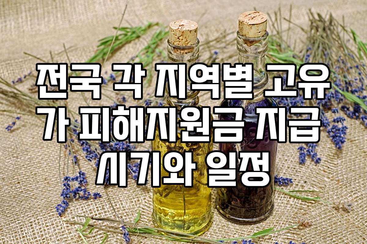 전국 각 지역별 고유가 피해지원금 지급 시기와 일정