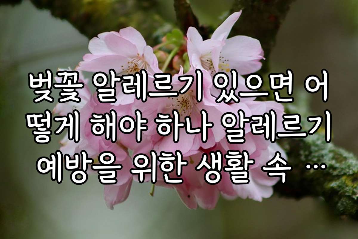 벚꽃 알레르기 있으면 어떻게 해야 하나 알레르기 예방을 위한 생활 속 실천 팁