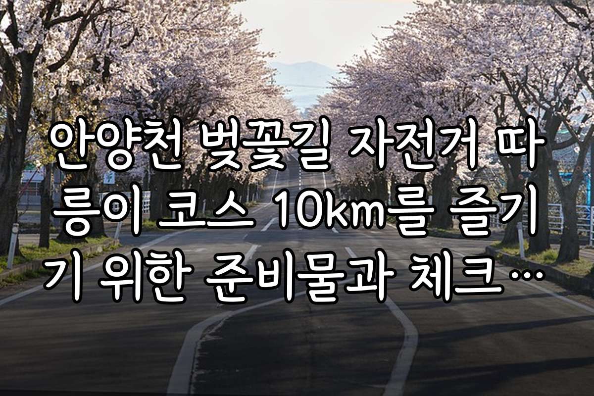 안양천 벚꽃길 자전거 따릉이 코스 10km를 즐기기 위한 준비물과 체크리스트