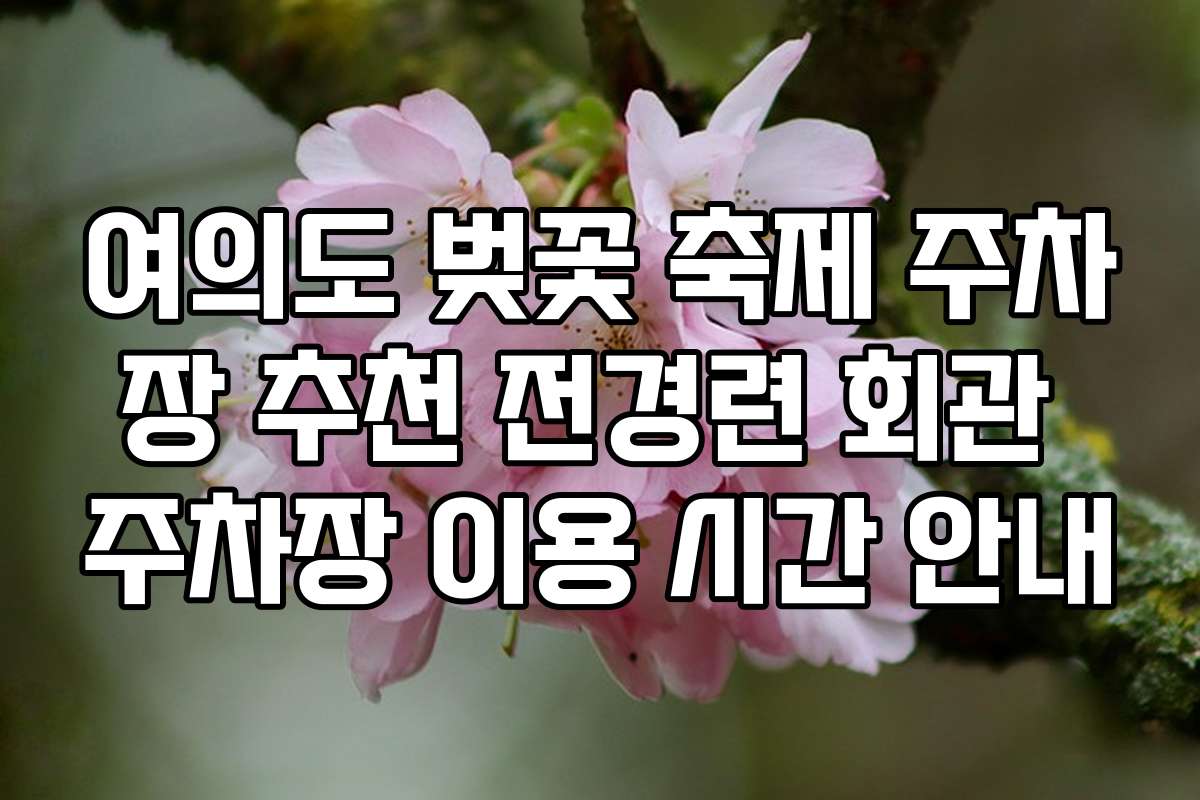 여의도 벚꽃 축제 주차장 추천 전경련 회관 주차장 이용 시간 안내