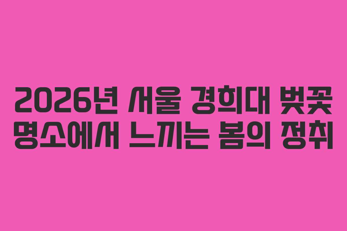 2026년 서울 경희대 벚꽃 명소에서 느끼는 봄의 정취