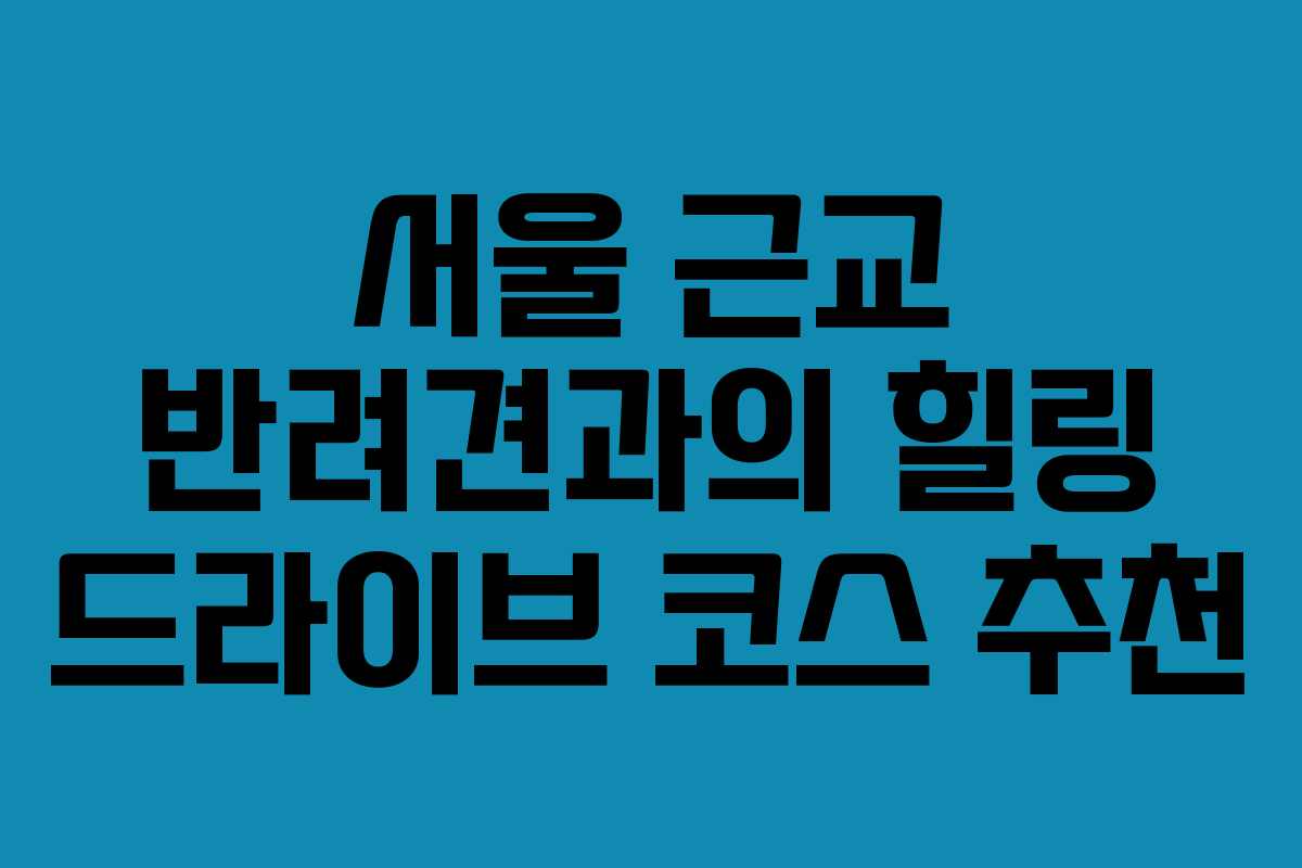 서울 근교 반려견과의 힐링 드라이브 코스 추천