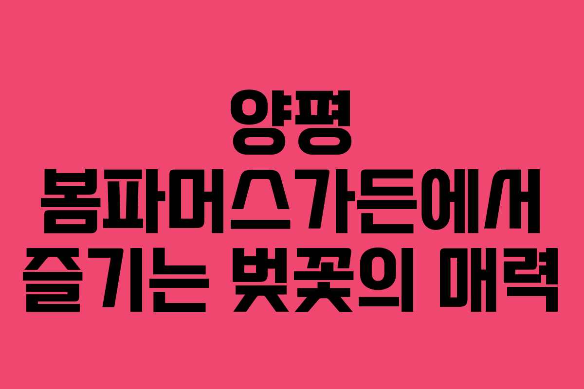 양평 봄파머스가든에서 즐기는 벚꽃의 매력