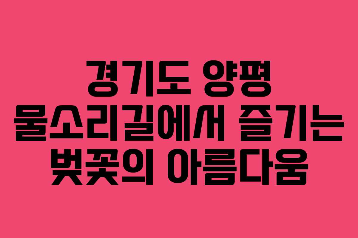 경기도 양평 물소리길에서 즐기는 벚꽃의 아름다움