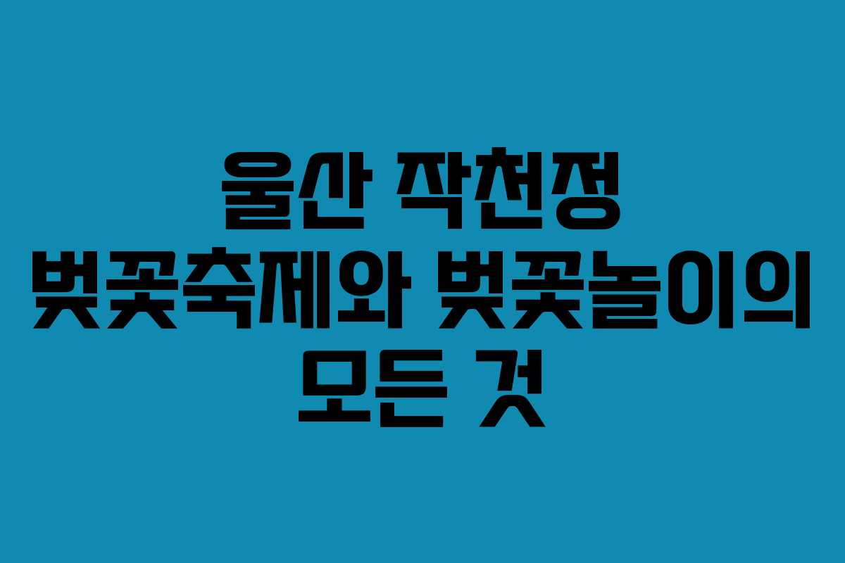 울산 작천정 벚꽃축제와 벚꽃놀이의 모든 것