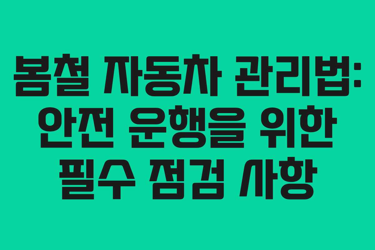 봄철 자동차 관리법: 안전 운행을 위한 필수 점검 사항