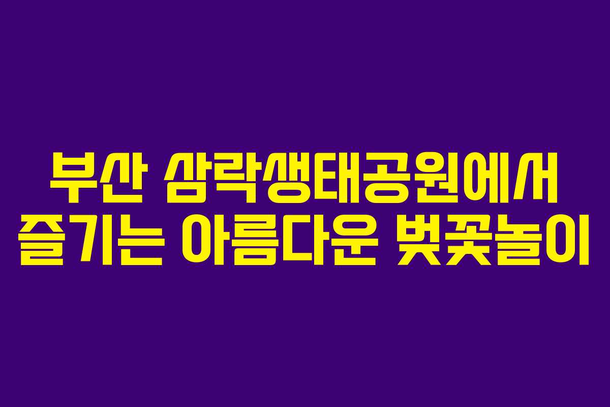 부산 삼락생태공원에서 즐기는 아름다운 벚꽃놀이