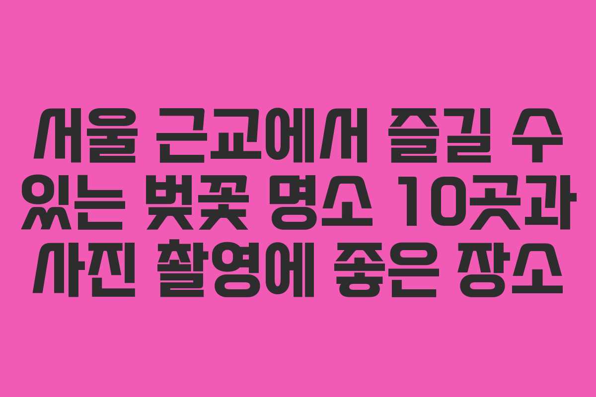 서울 근교에서 즐길 수 있는 벚꽃 명소 10곳과 사진 촬영에 좋은 장소