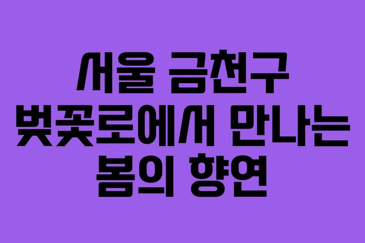 서울 금천구 벚꽃로에서 만나는 봄의 향연