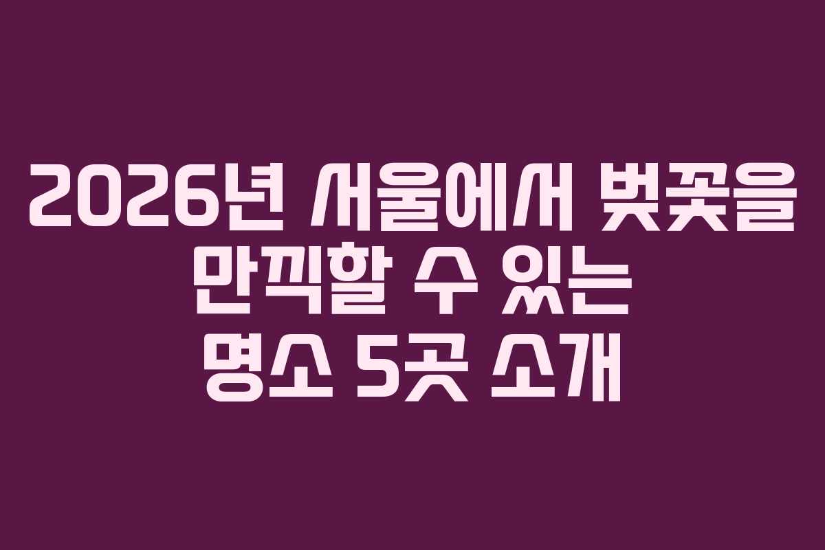 2026년 서울에서 벚꽃을 만끽할 수 있는 명소 5곳 소개