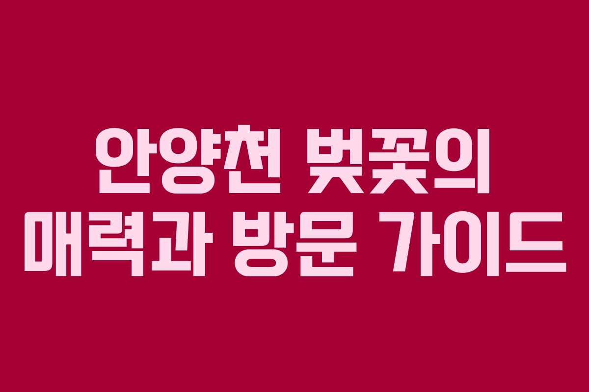 안양천-벚꽃의-매력과-방문-가이드