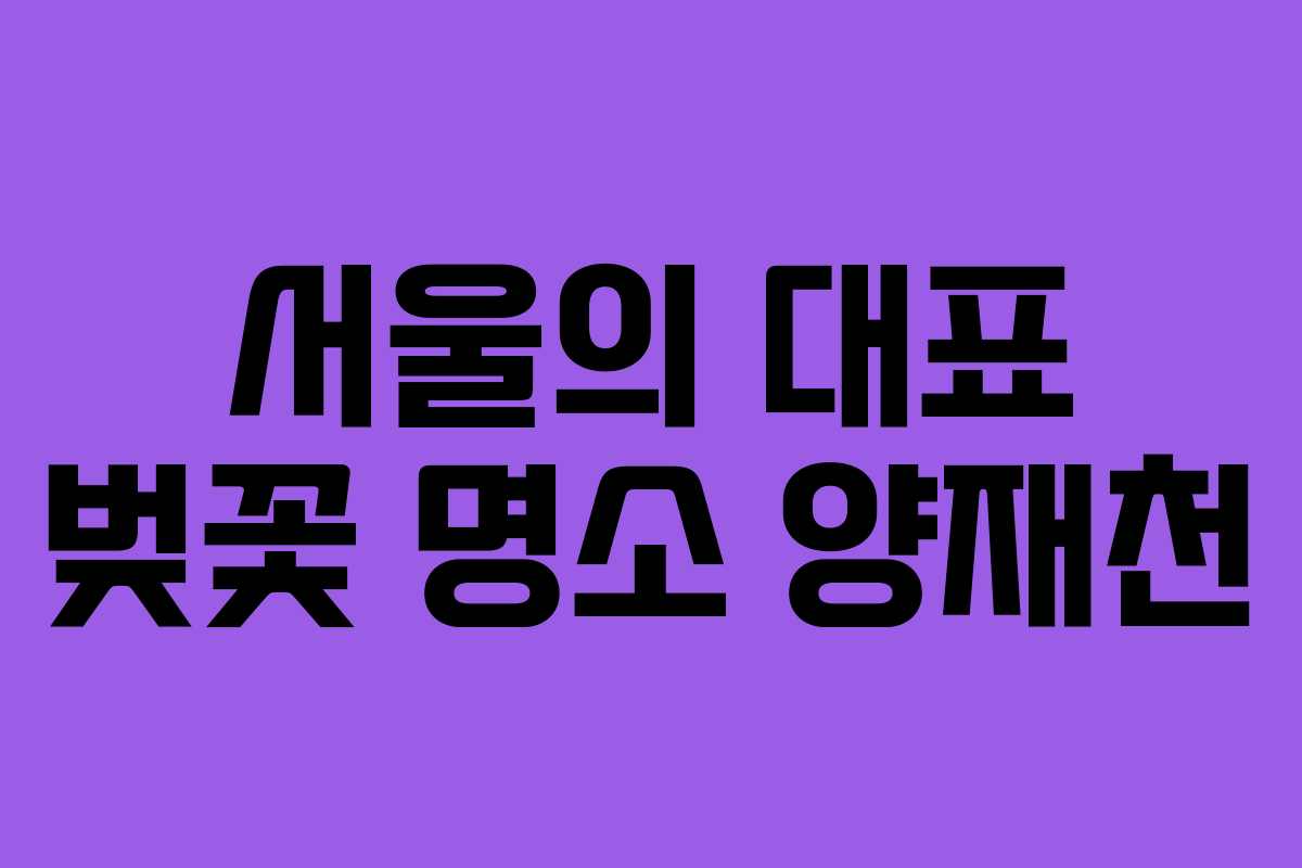 서울의 대표 벚꽃 명소 양재천