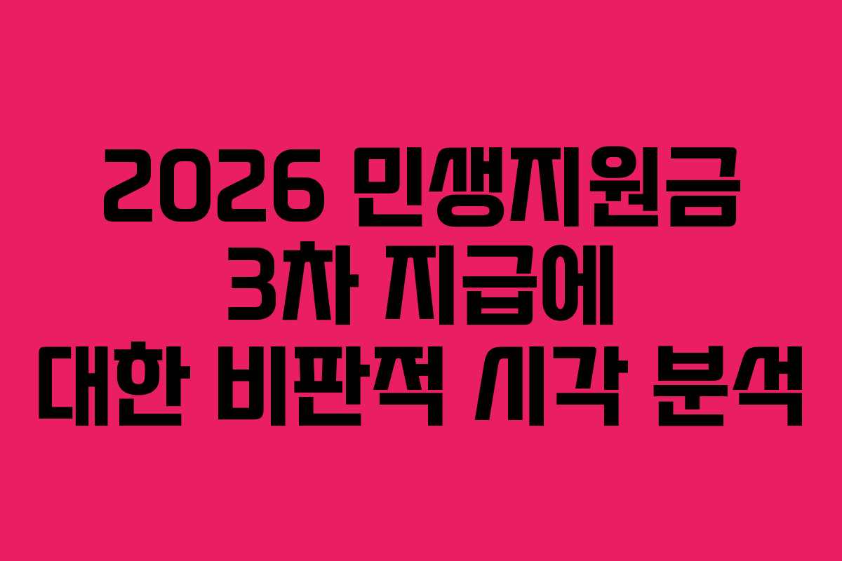 2026 민생지원금 3차 지급에 대한 비판적 시각 분석