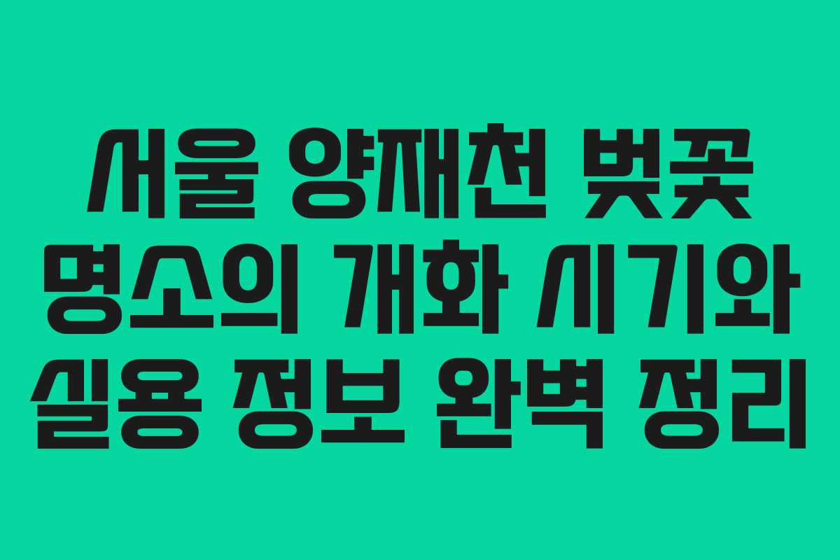 서울 양재천 벚꽃 명소의 개화 시기와 실용 정보 완벽 정리
