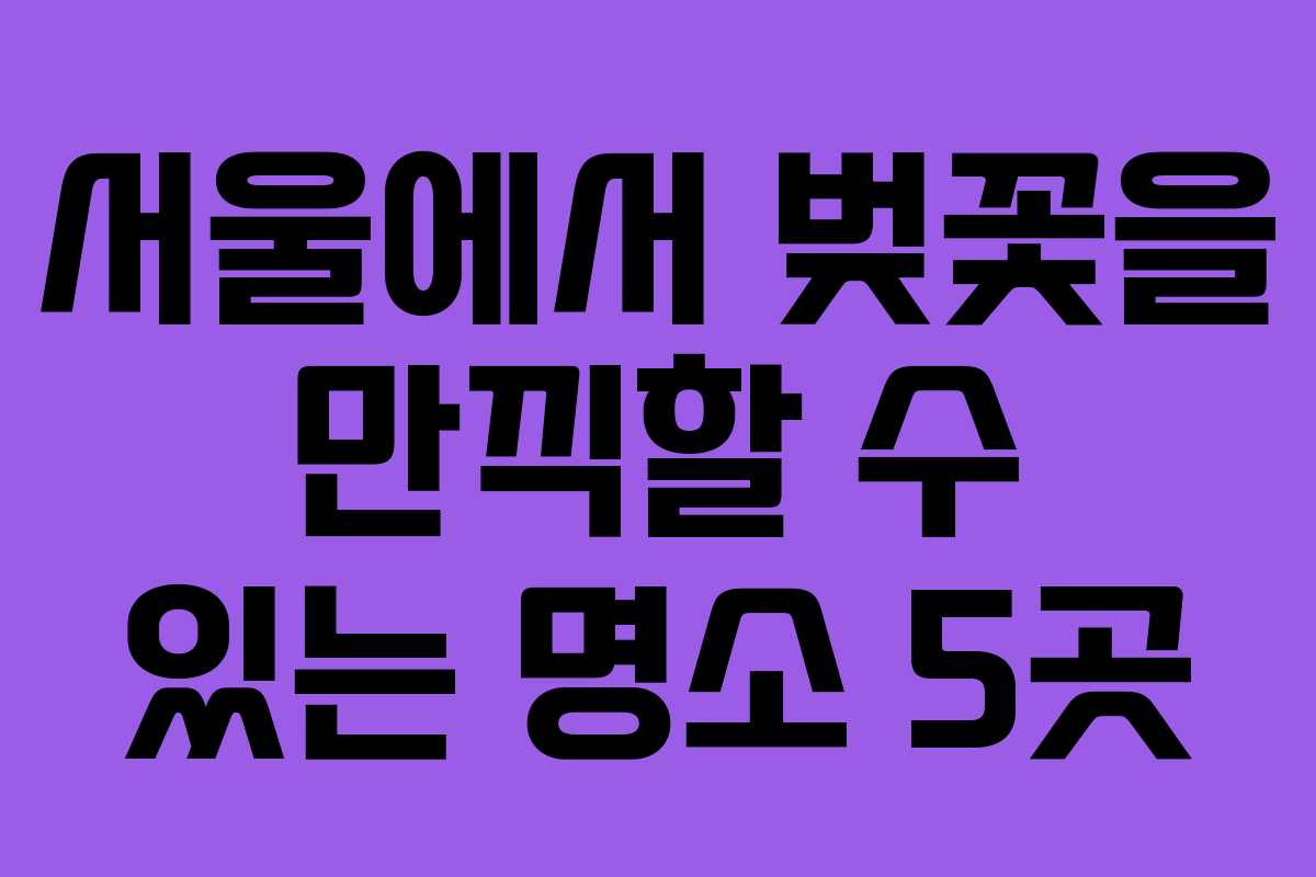 서울에서 벚꽃을 만끽할 수 있는 명소 5곳