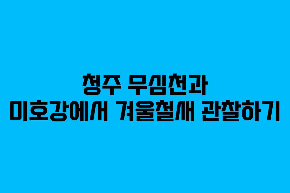 청주 무심천과 미호강에서 겨울철새 관찰하기