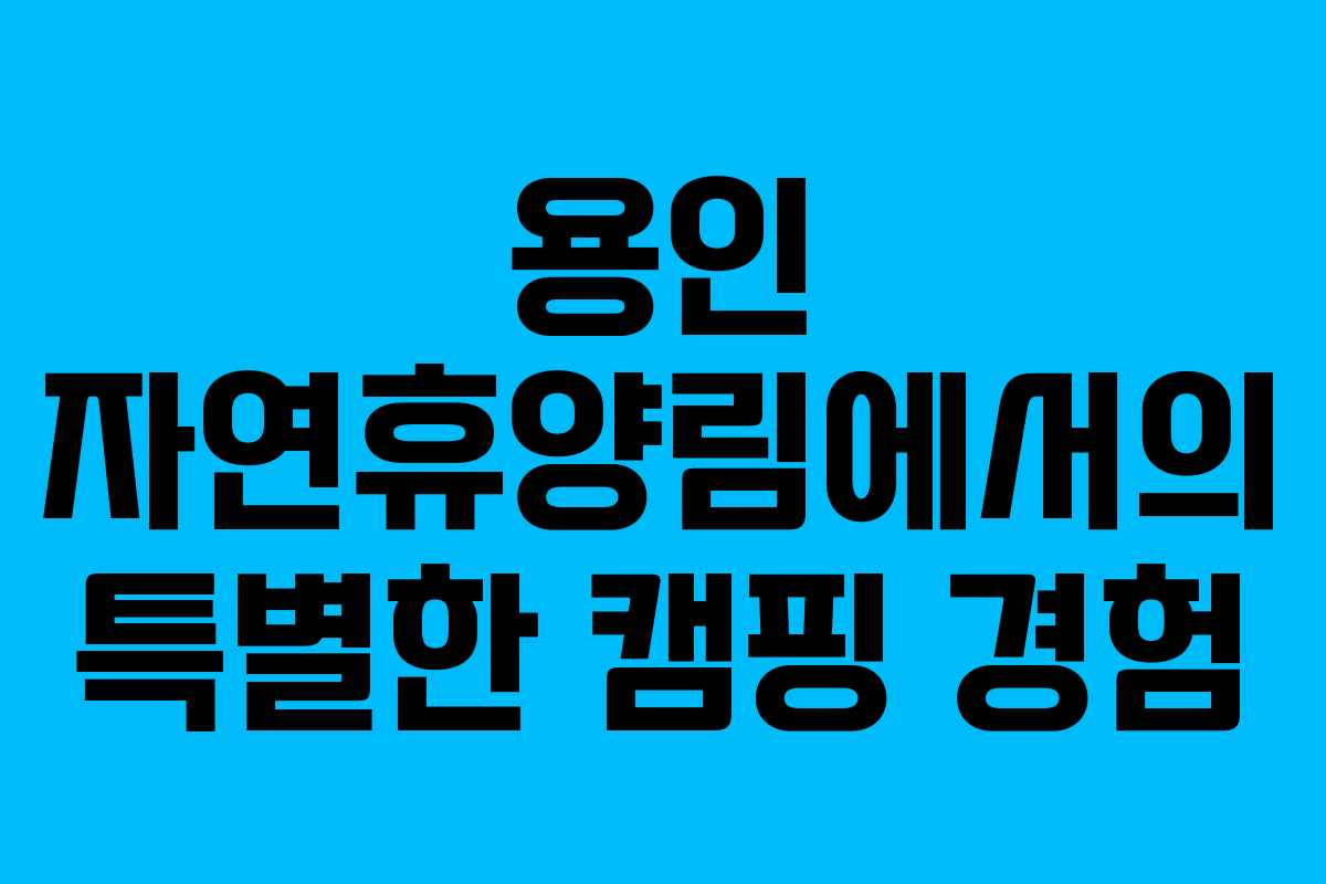 용인 자연휴양림에서의 특별한 캠핑 경험