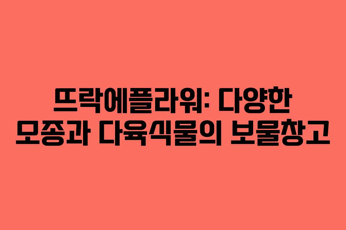 뜨락에플라워-다양한-모종과-다육식물의-보물창고