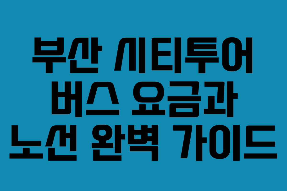 부산 시티투어 버스 요금과 노선 완벽 가이드