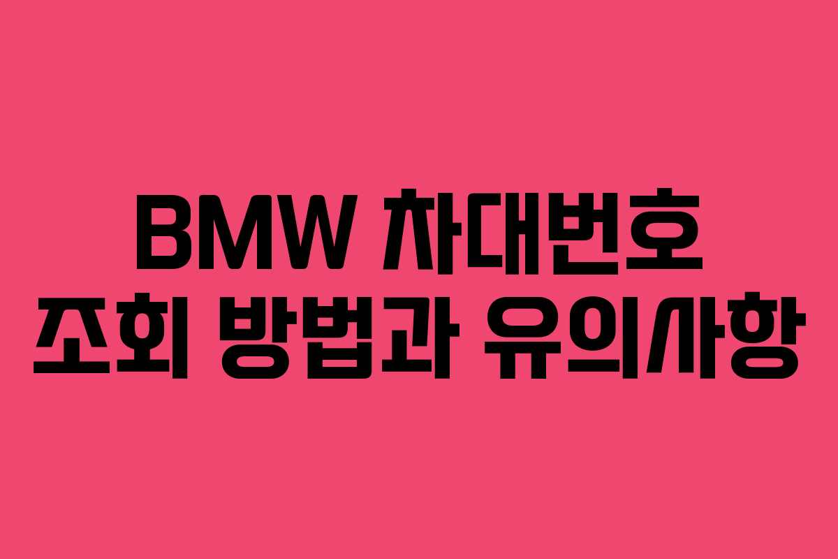 BMW 차대번호 조회 방법과 유의사항