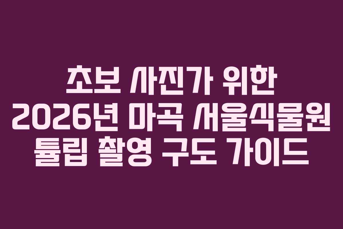 초보 사진가 위한 2026년 마곡 서울식물원 튤립 촬영 구도 가이드
