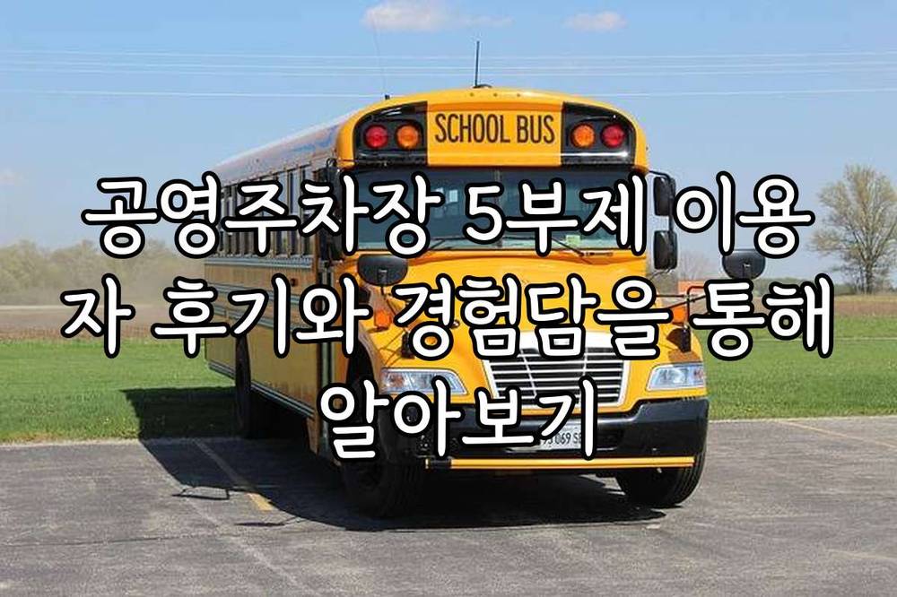 공영주차장 5부제 이용자 후기와 경험담을 통해 알아보기