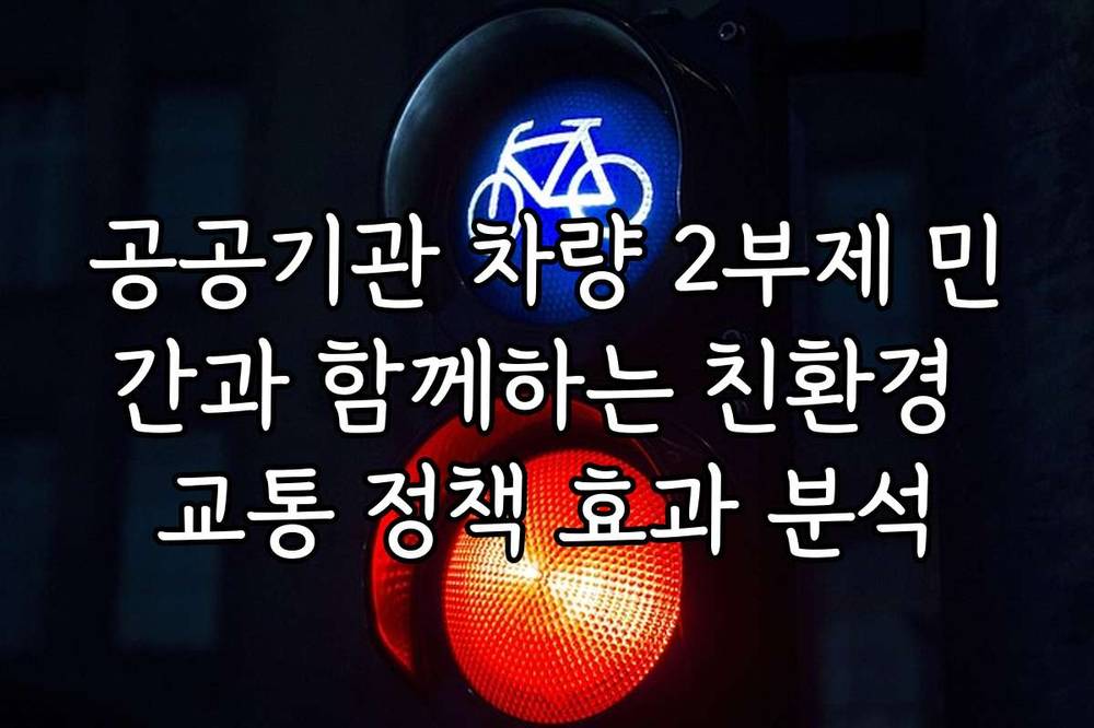 공공기관 차량 2부제 민간과 함께하는 친환경 교통 정책 효과 분석