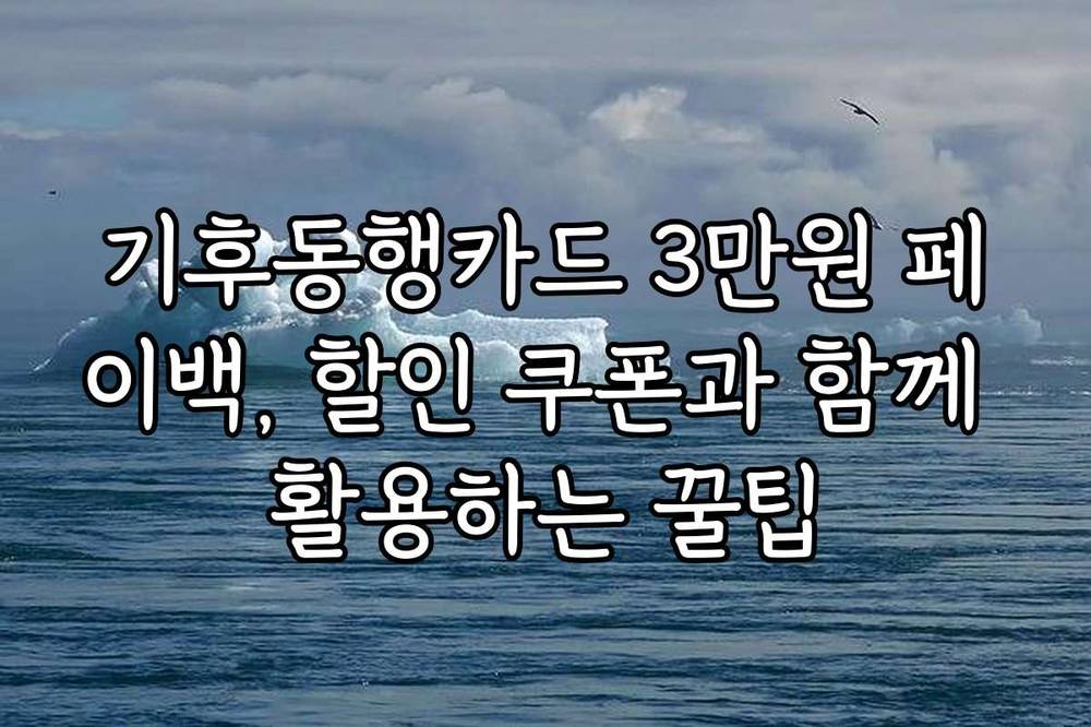 기후동행카드 3만원 페이백, 할인 쿠폰과 함께 활용하는 꿀팁