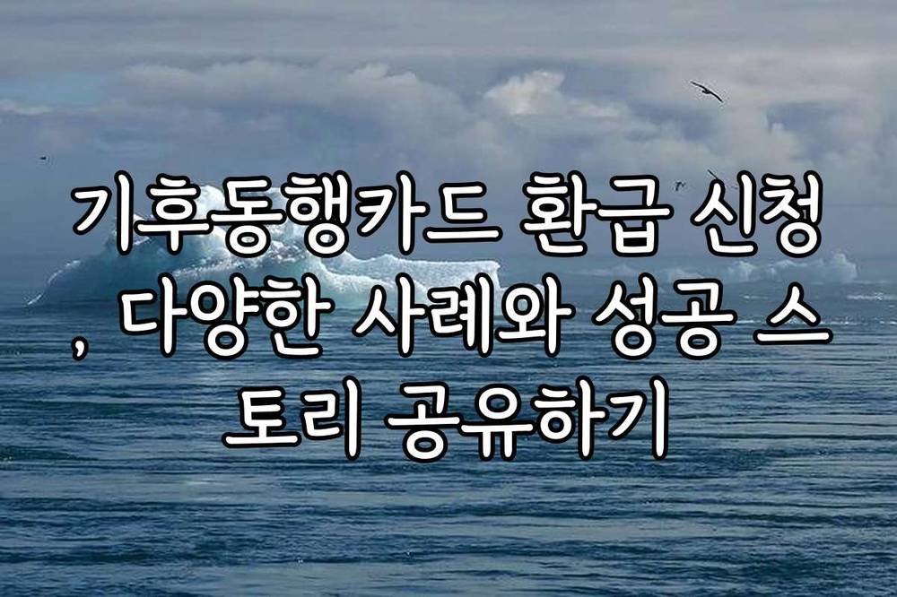 기후동행카드 환급 신청, 다양한 사례와 성공 스토리 공유하기