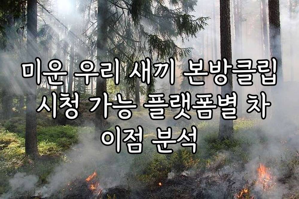 미운 우리 새끼 본방클립 시청 가능 플랫폼별 차이점 분석