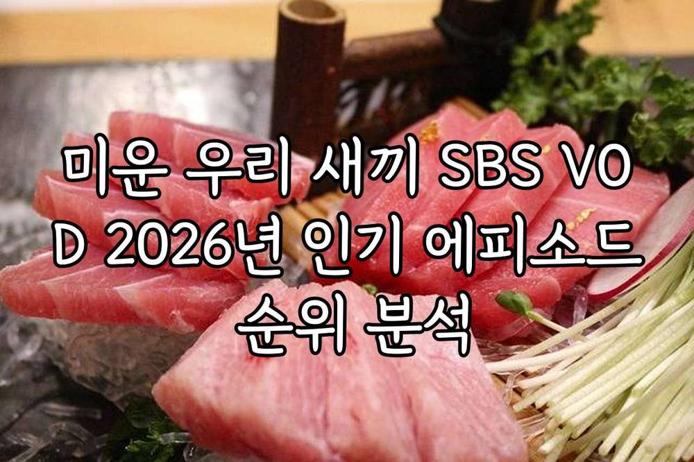 미운 우리 새끼 SBS VOD 2026년 인기 에피소드 순위 분석