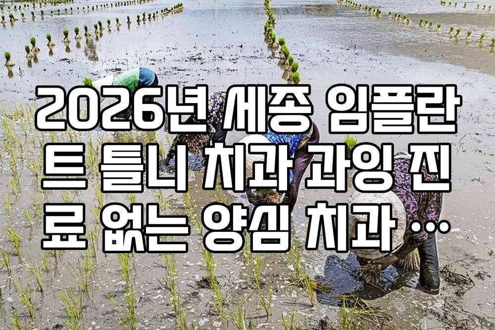 2026년 세종 임플란트 틀니 치과 과잉 진료 없는 양심 치과 후기 분석