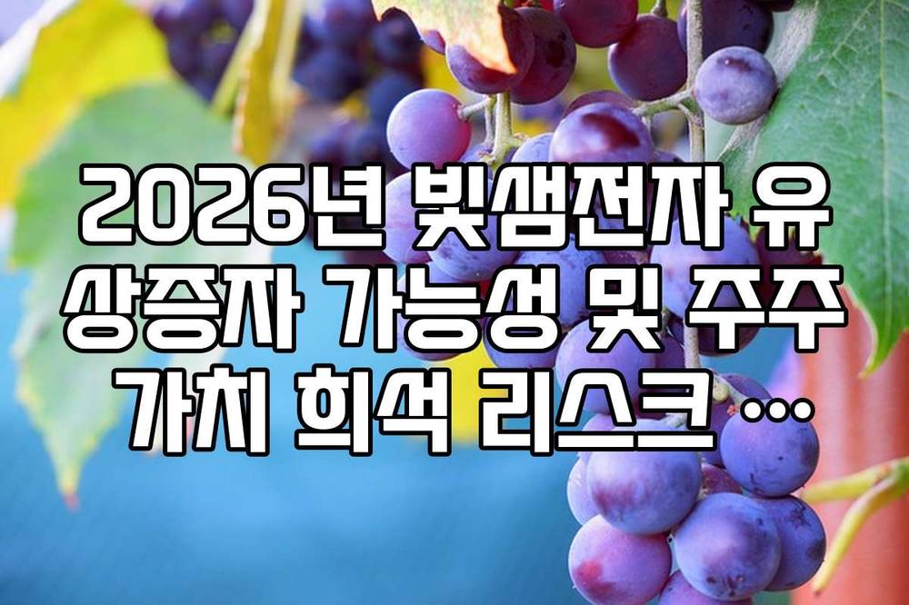 2026년 빛샘전자 유상증자 가능성 및 주주 가치 희석 리스크 점검