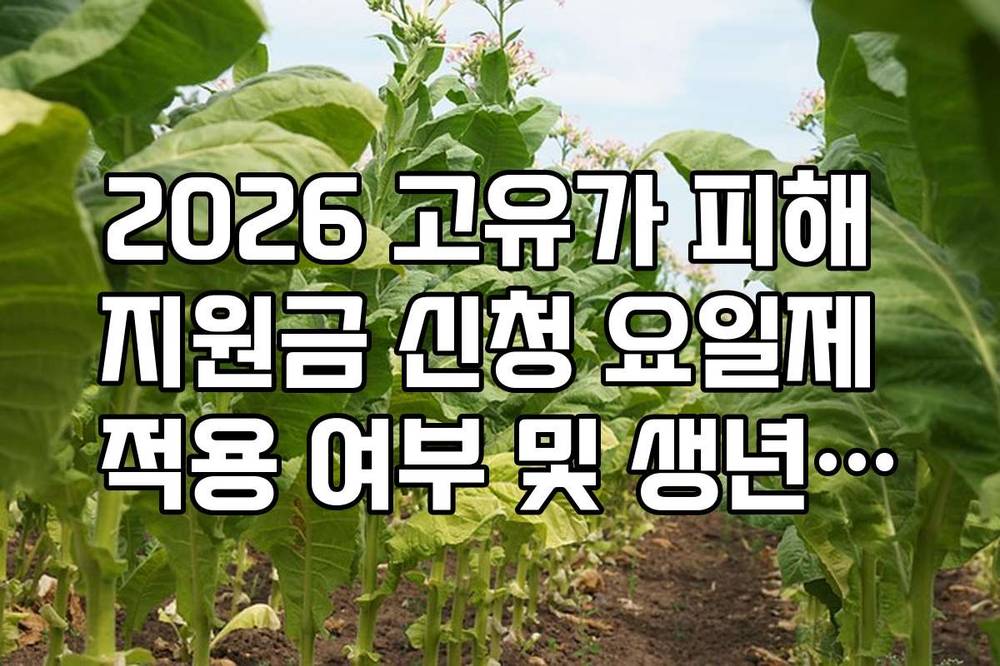 2026 고유가 피해 지원금 신청 요일제 적용 여부 및 생년월일별 일정
