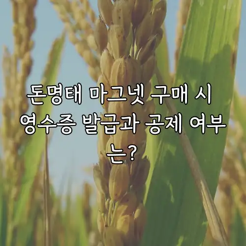 돈명태 마그넷 구매 시 영수증 발급과 공제 여부는?