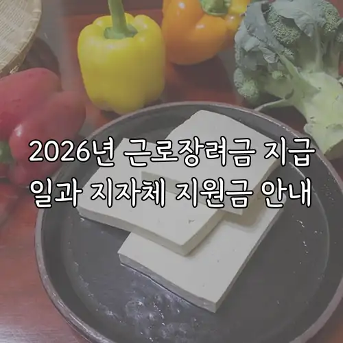 2026년 근로장려금 지급일과 지자체 지원금 안내